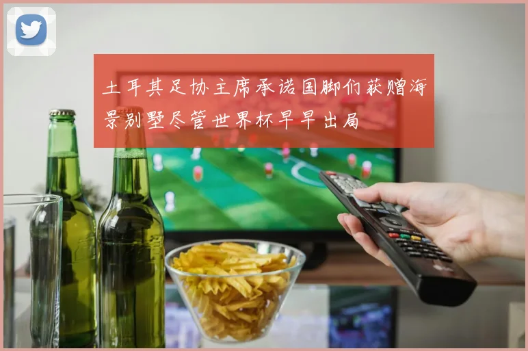 土耳其足协主席承诺国脚们获赠海景别墅尽管世界杯早早出局
