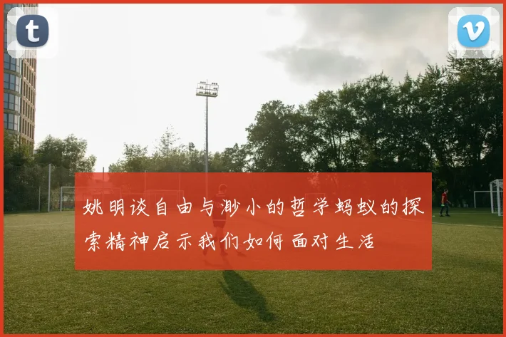 姚明谈自由与渺小的哲学蚂蚁的探索精神启示我们如何面对生活